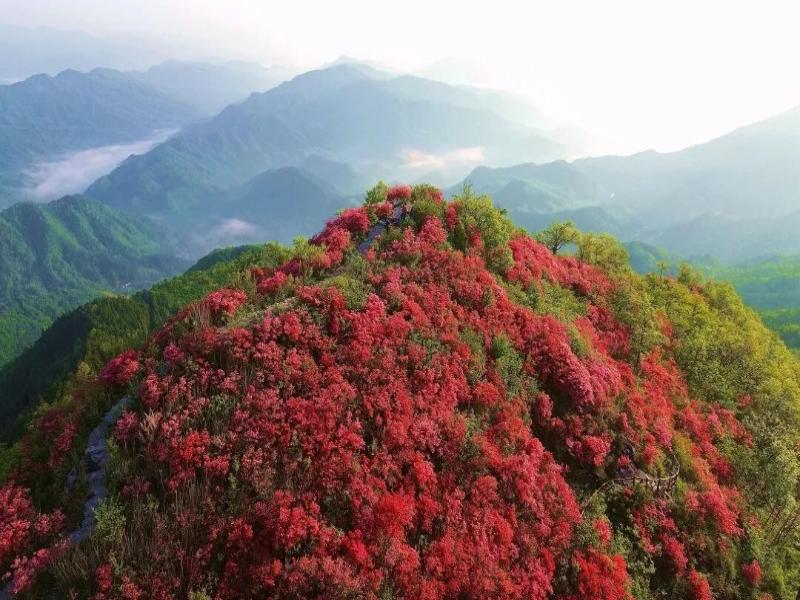 摸云山上映山紅